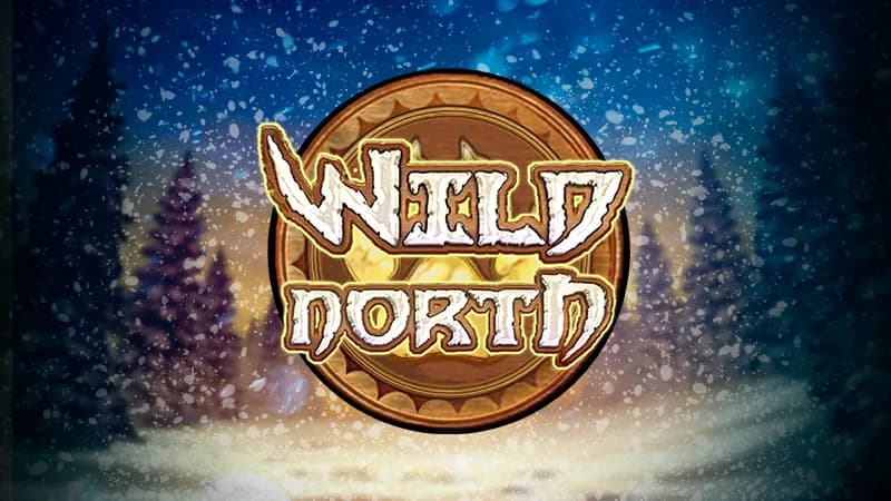 Wild North Review