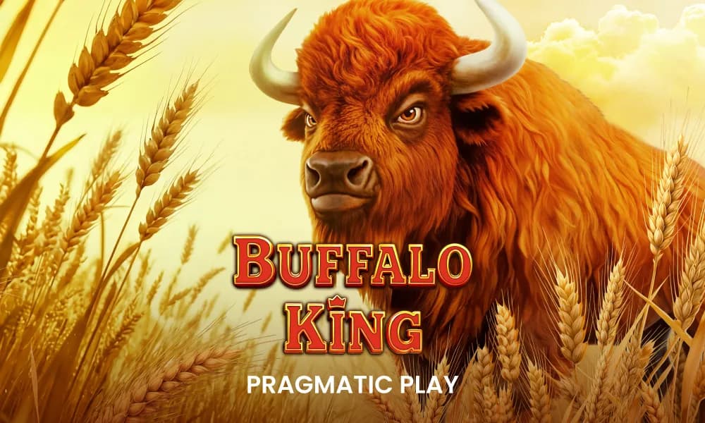 Buffalo King Review