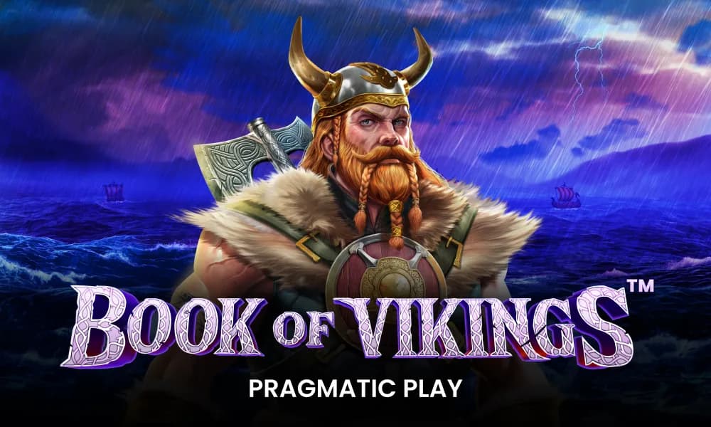 Book of Vikings Review