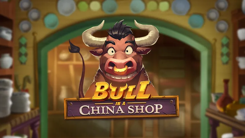 Bull in a China Shop Review