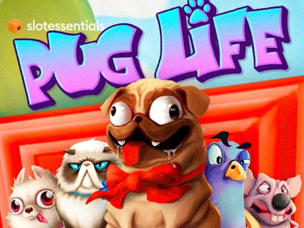 Pug Life Review