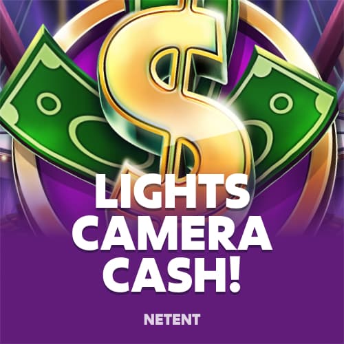 Lights, Camera, Cash!