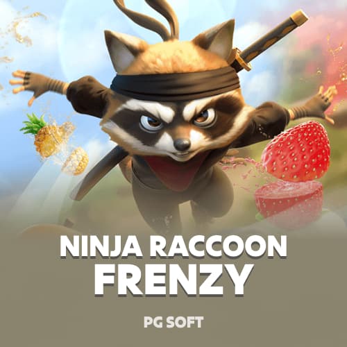 Ninja Raccoon Frenzy